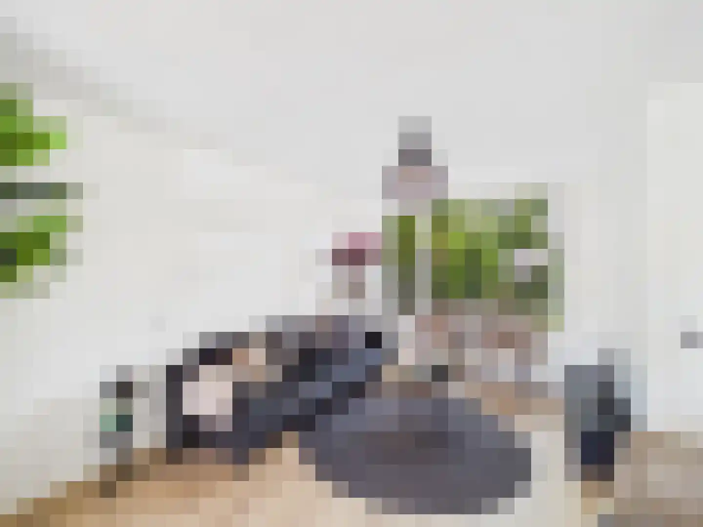 Klaprooslaan 88 Terneuzen thumbnail 5