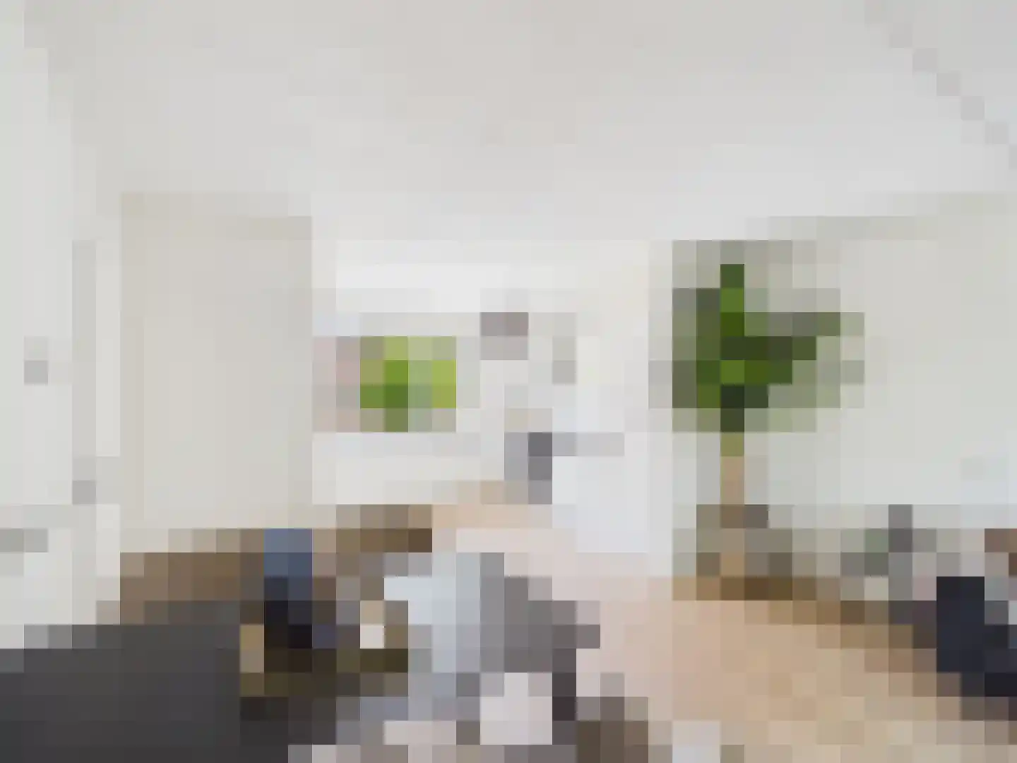 Klaprooslaan 88 Terneuzen thumbnail 8