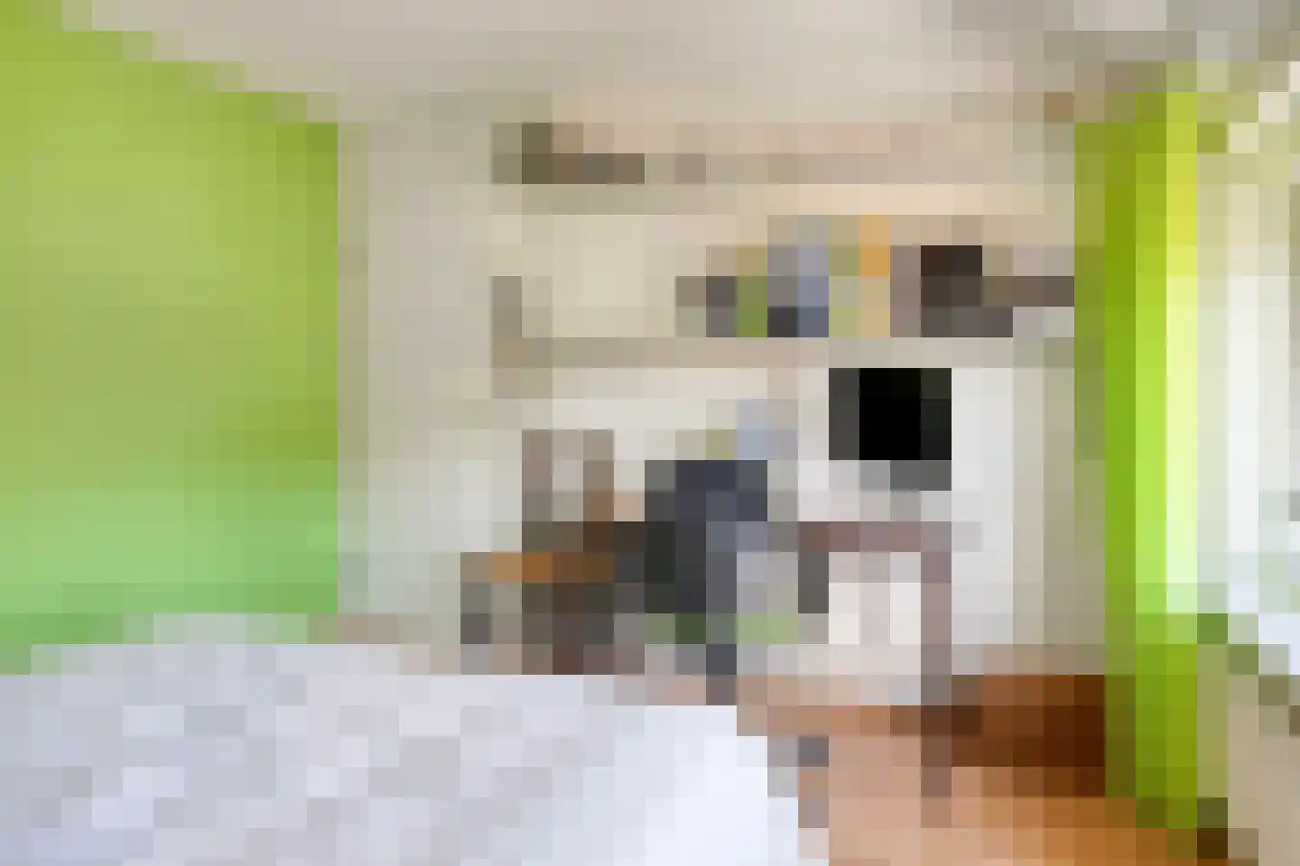 Klaprooslaan 95 Terneuzen thumbnail 24