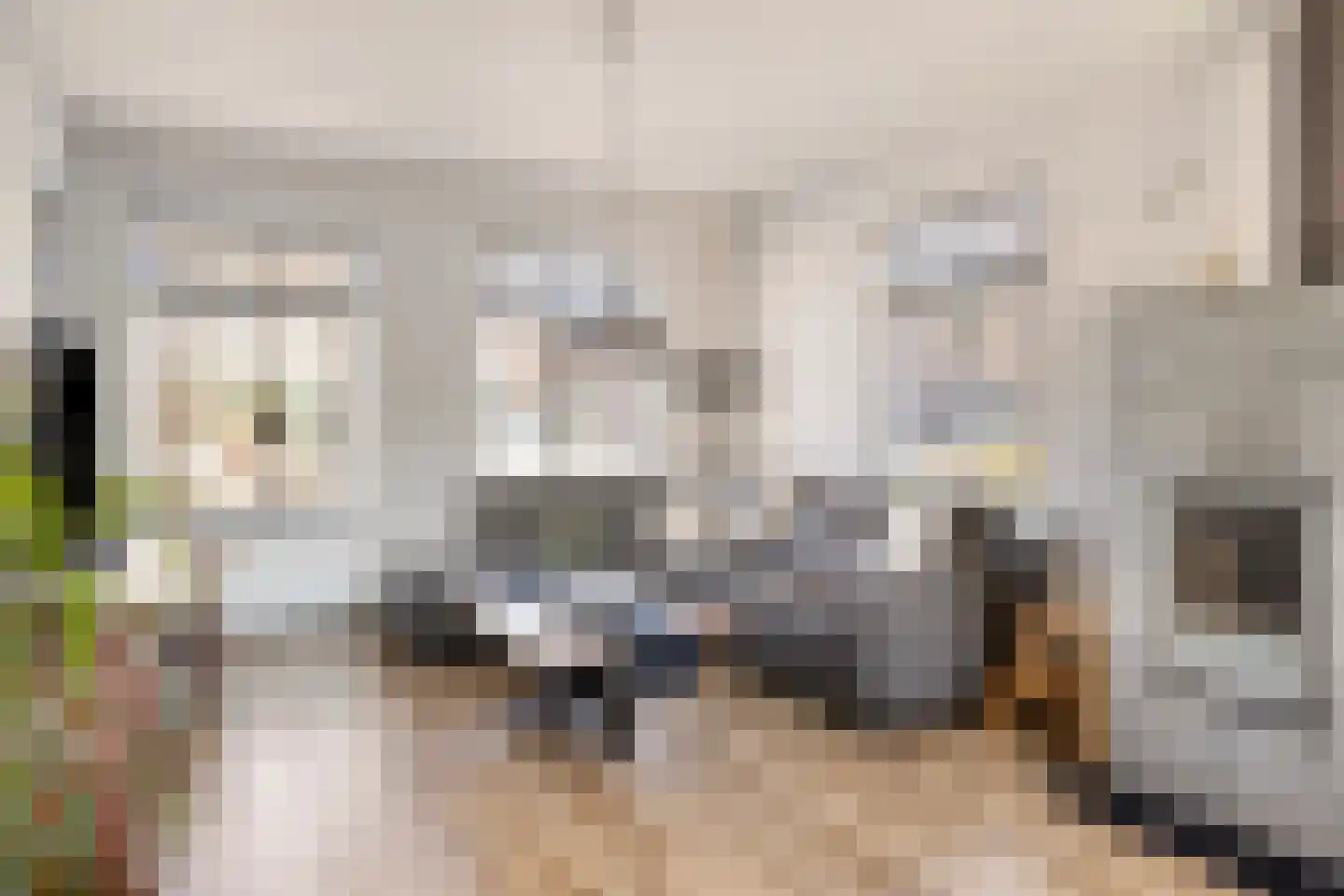 Klaprooslaan 95 Terneuzen thumbnail 8