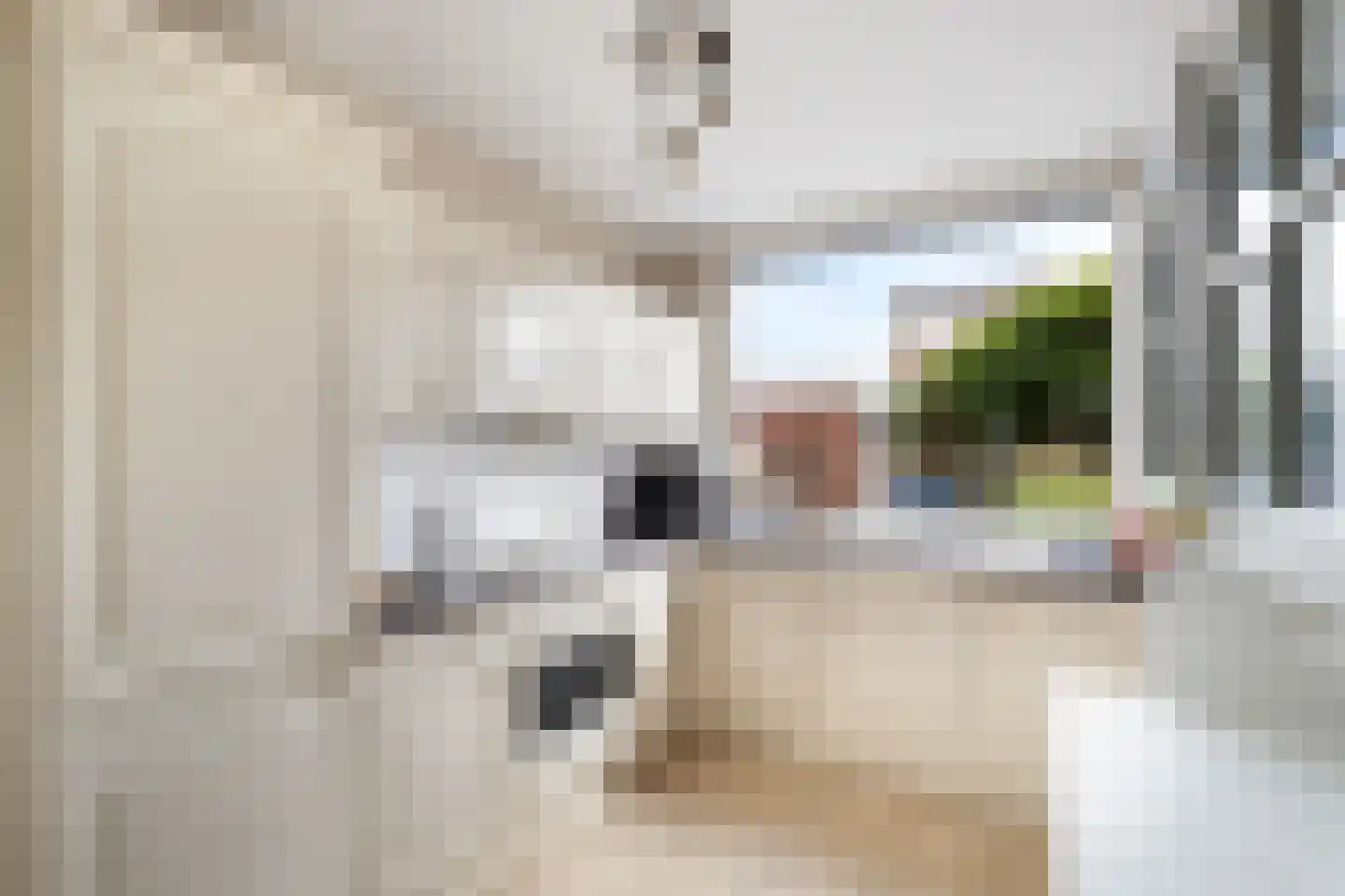Klaproosstraat 10 Klaaswaal thumbnail 20