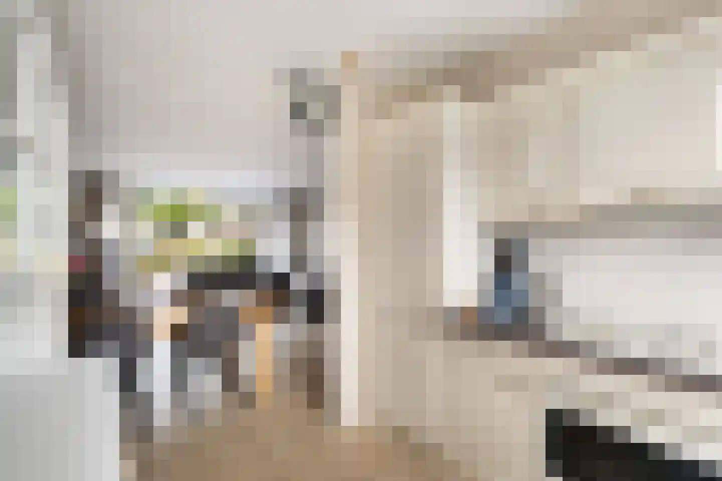 Klaproosstraat 10 Klaaswaal thumbnail 22