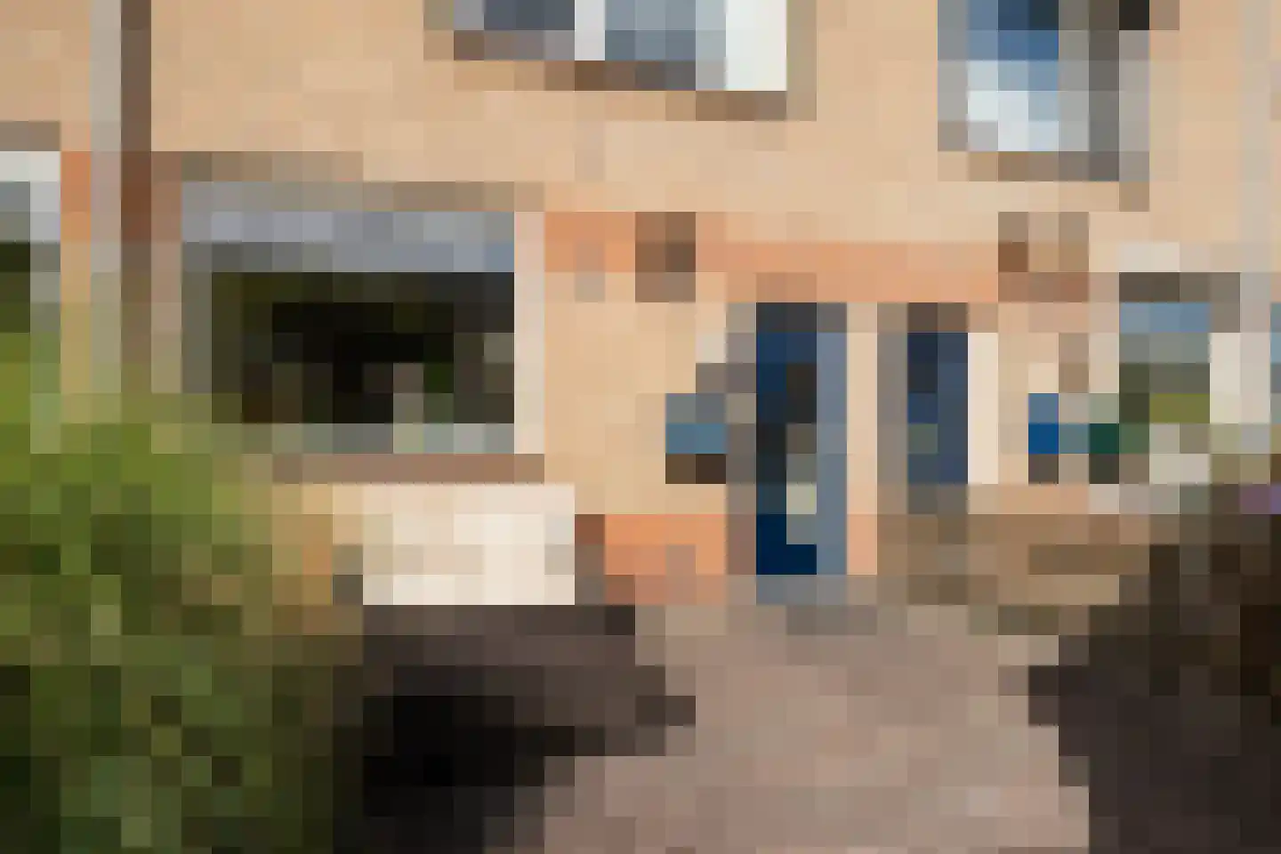 Klaproosstraat 10 Klaaswaal thumbnail 6