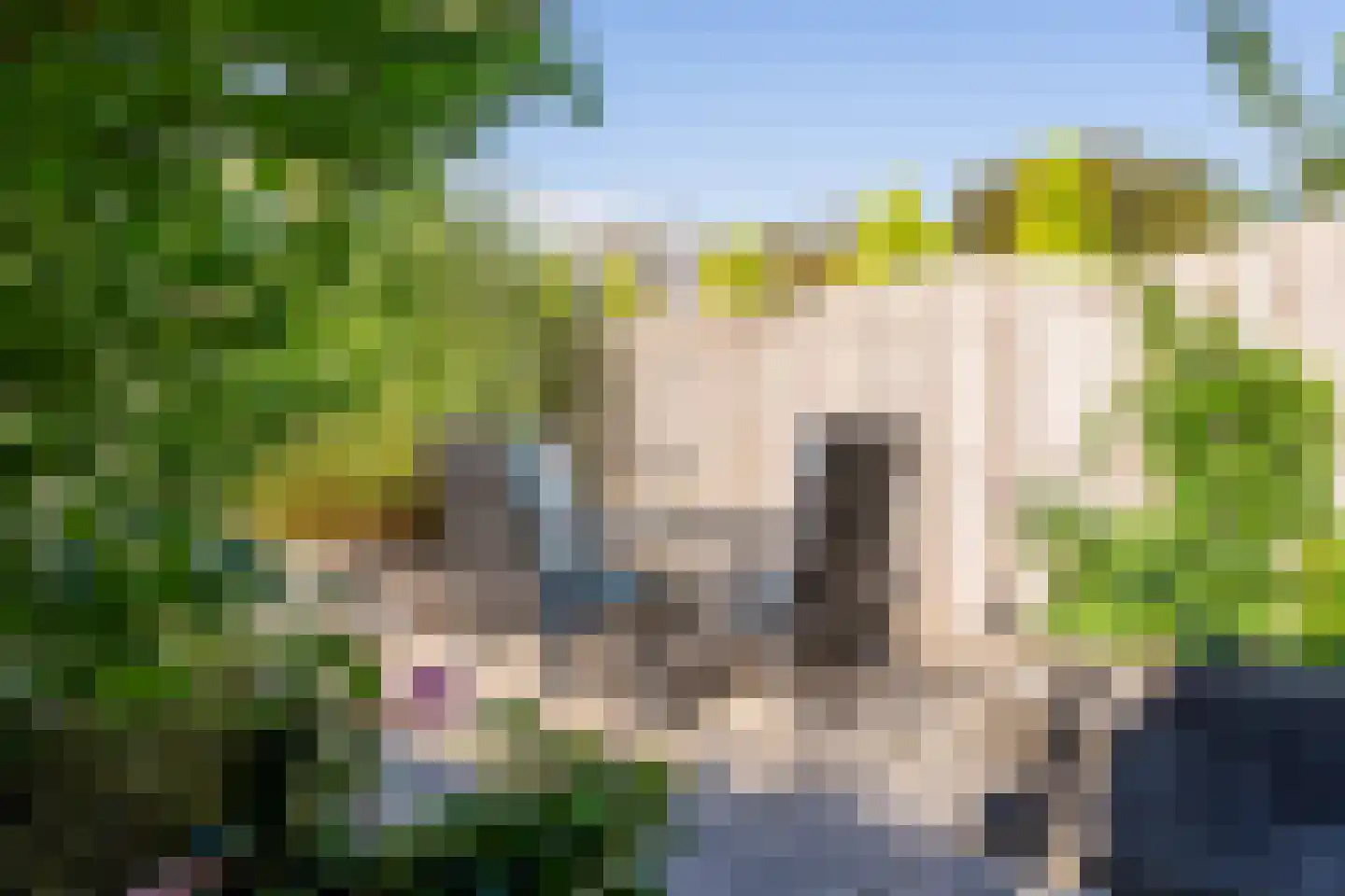 Klaproosstraat 10 Nieuw-Vennep thumbnail 29