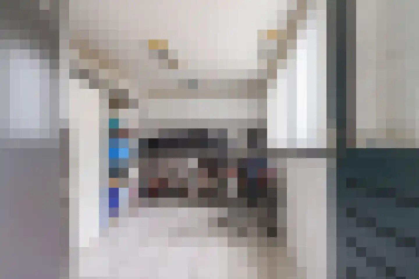 Klaproosstraat 116 Waalwijk thumbnail 32