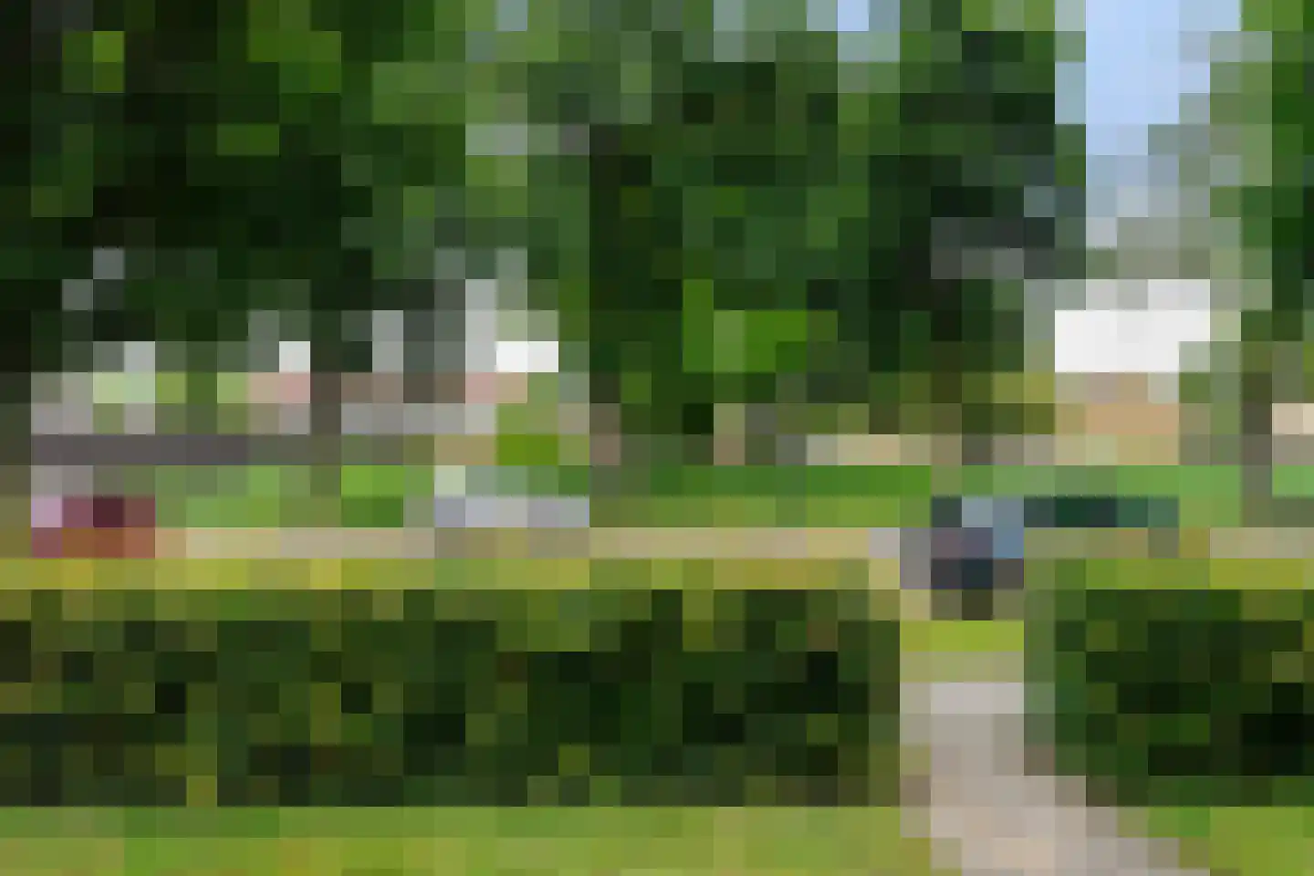 Klaproosstraat 116 Waalwijk thumbnail 38
