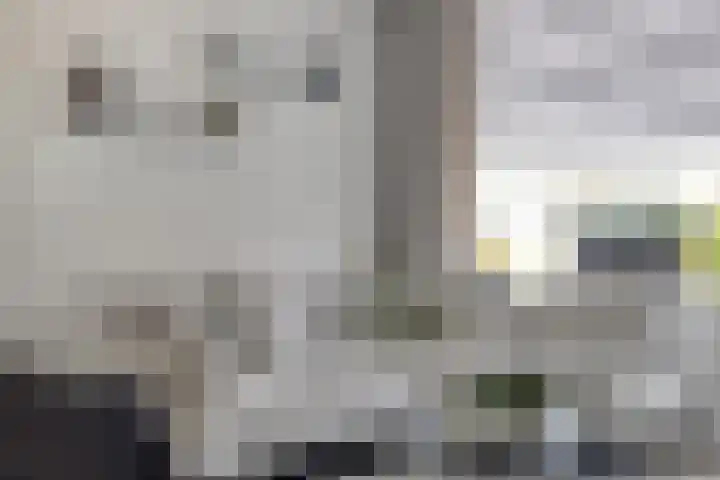 Klaproosstraat 12 Goes thumbnail 16