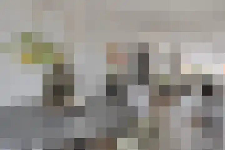 Klaproosstraat 12 Goes thumbnail 17