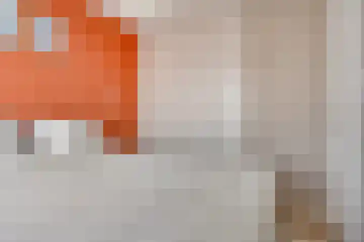 Klaproosstraat 12 Goes thumbnail 20