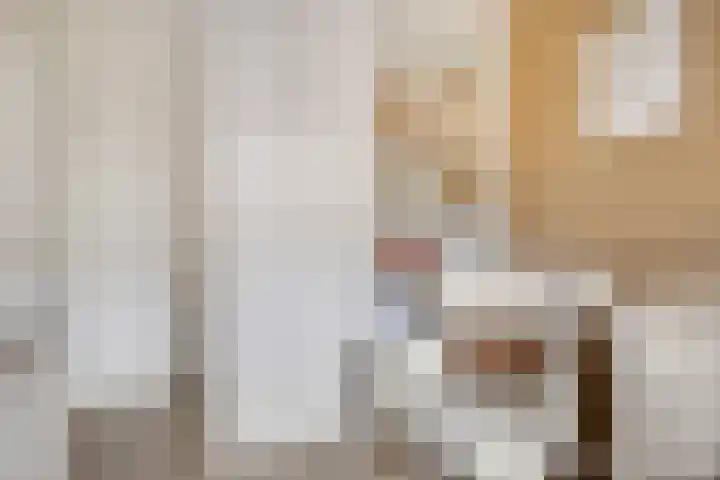 Klaproosstraat 12 Goes thumbnail 26