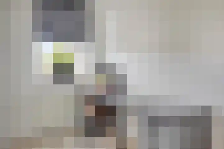 Klaproosstraat 12 Goes thumbnail 27