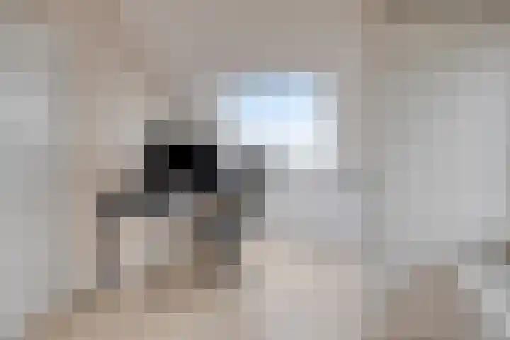 Klaproosstraat 12 Goes thumbnail 30