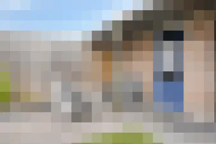 Klaproosstraat 12 Goes thumbnail 34