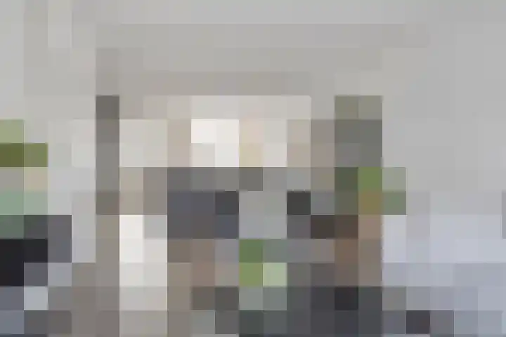 Klaproosstraat 12 Goes thumbnail 9