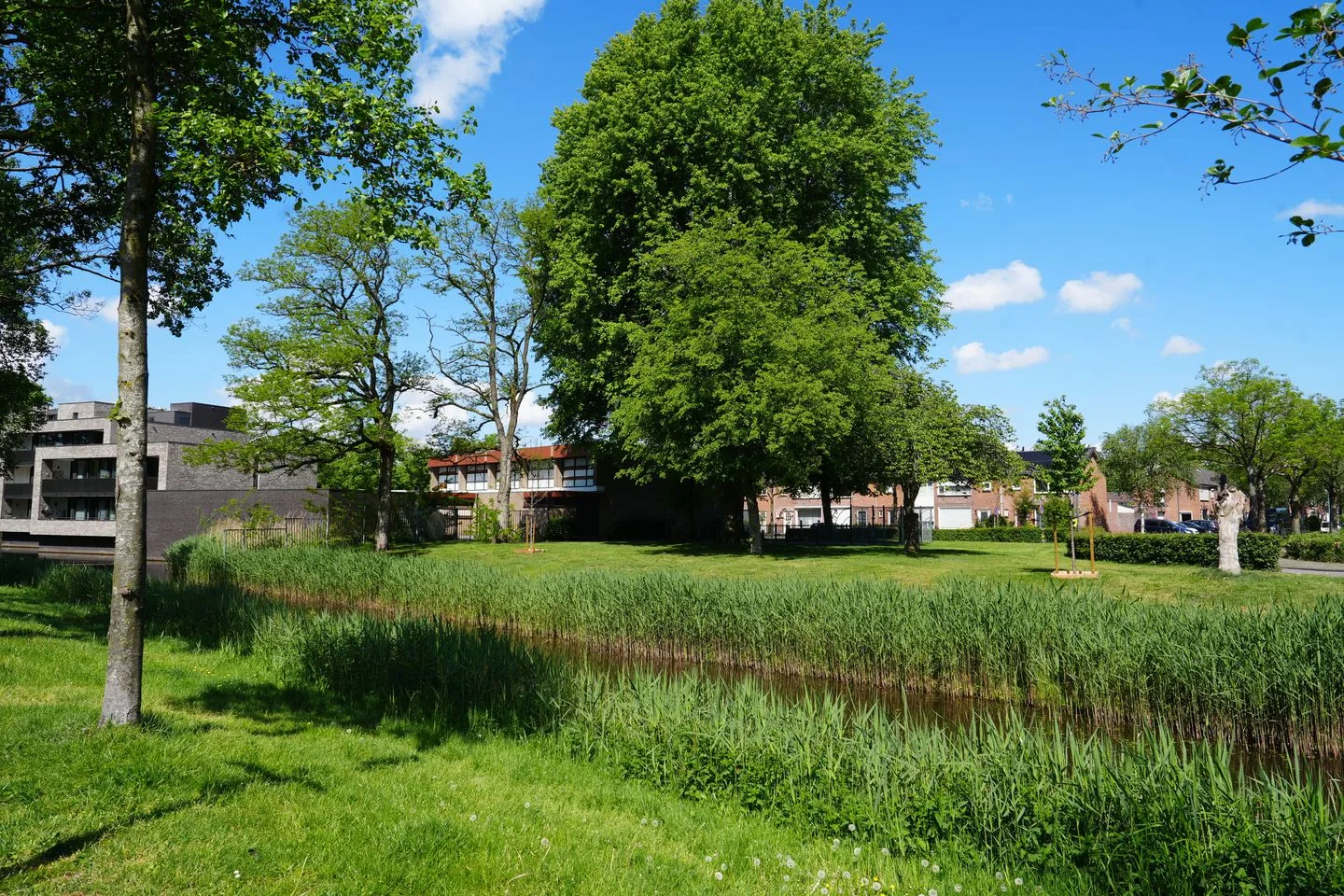 Klaproosstraat 122 Waalwijk thumbnail 34