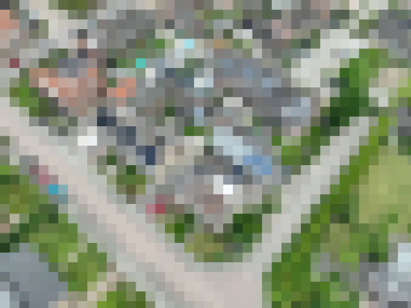 Klaproosstraat 13 Boven-Leeuwen thumbnail 45