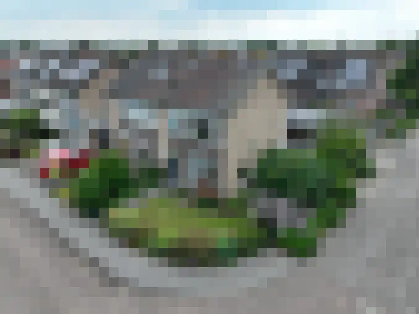 Klaproosstraat 13 Boven-Leeuwen thumbnail 46