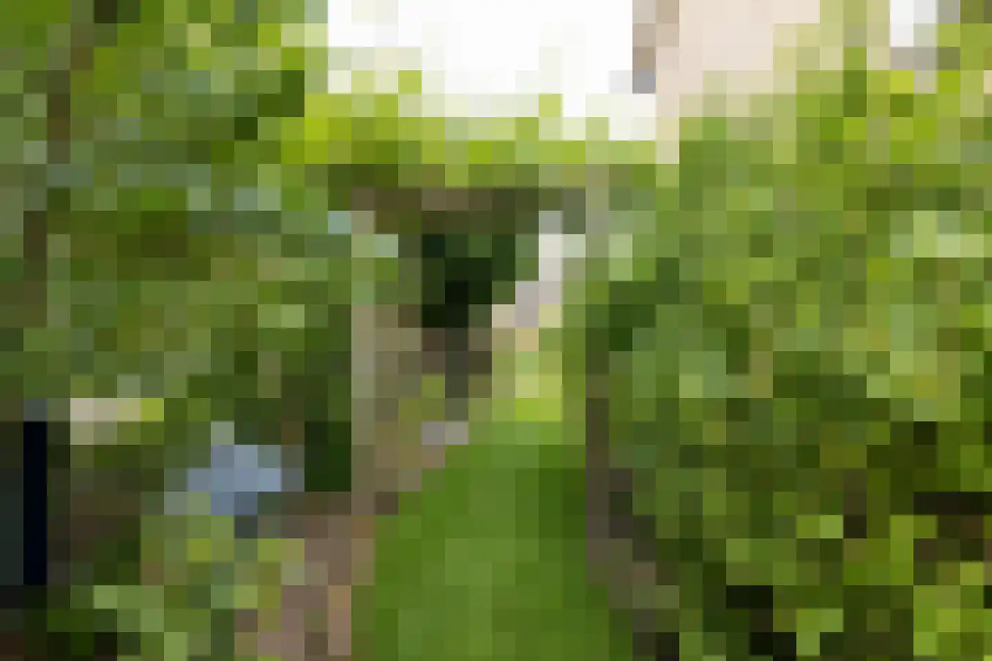 Klaproosstraat 13 Boven-Leeuwen thumbnail 49