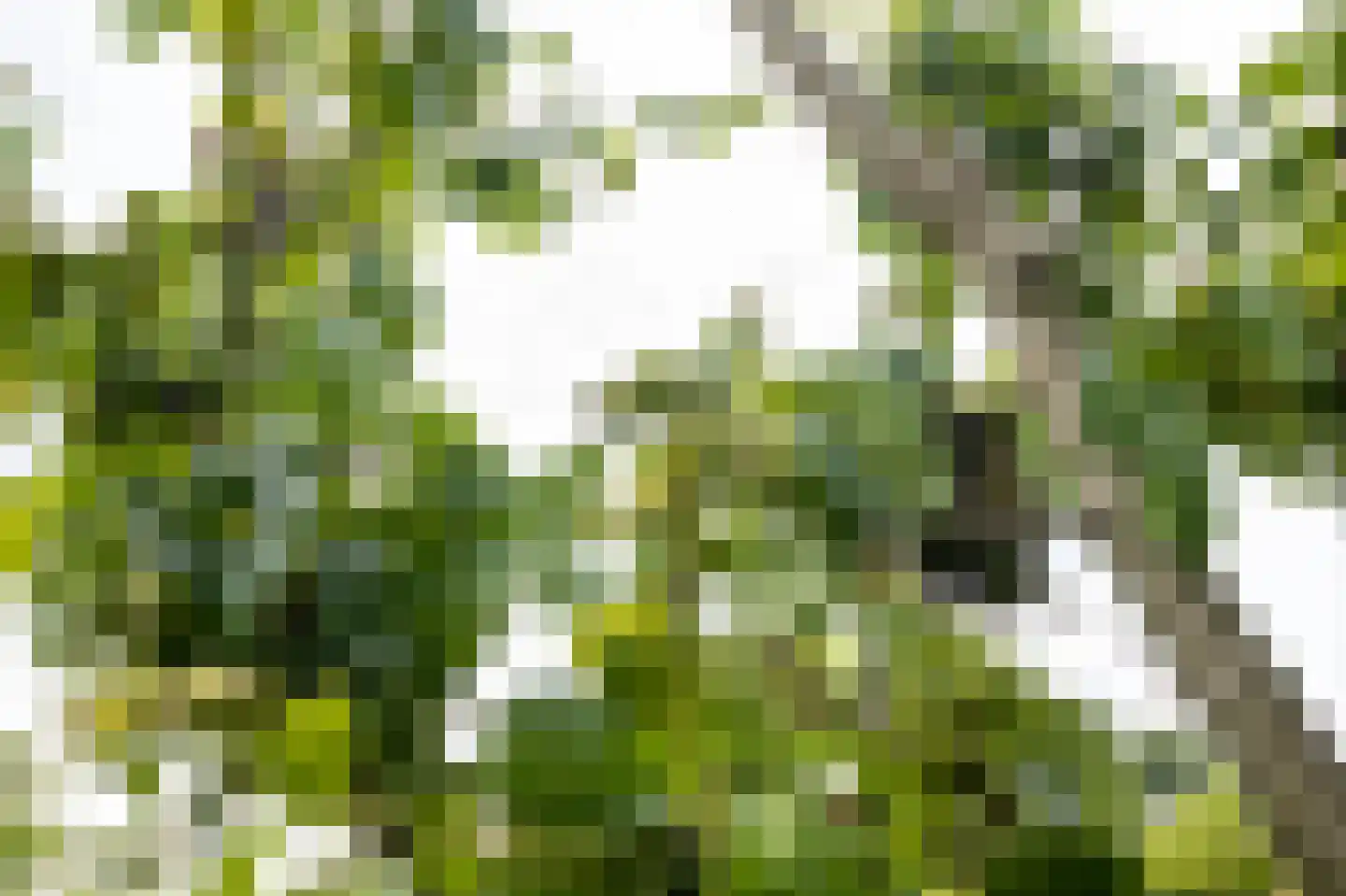 Klaproosstraat 13 Boven-Leeuwen thumbnail 51