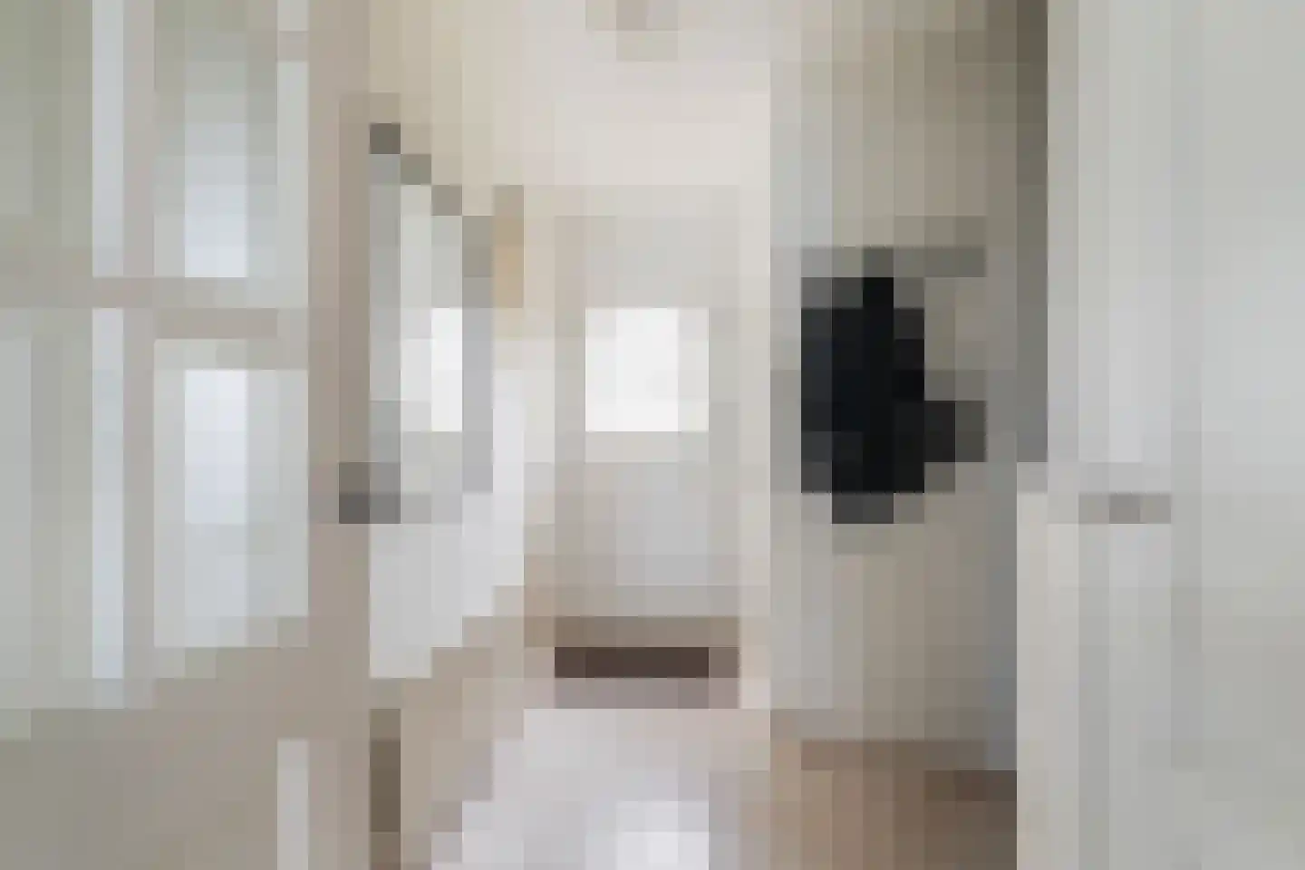 Klaproosstraat 136 Waalwijk thumbnail 6