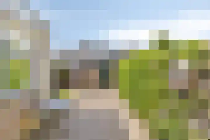 Klaproosstraat 14 Assen thumbnail 30