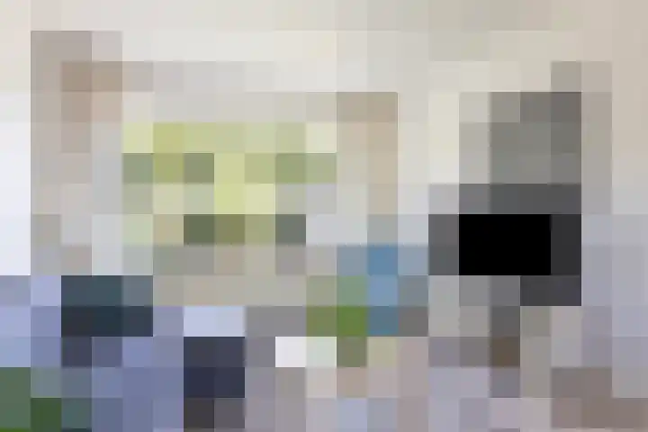 Klaproosstraat 14 Assen thumbnail 5