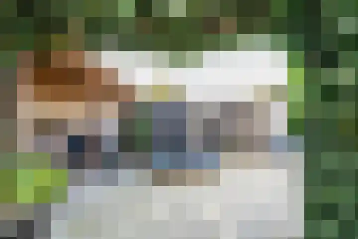 Klaproosstraat 14 Bakel thumbnail 20