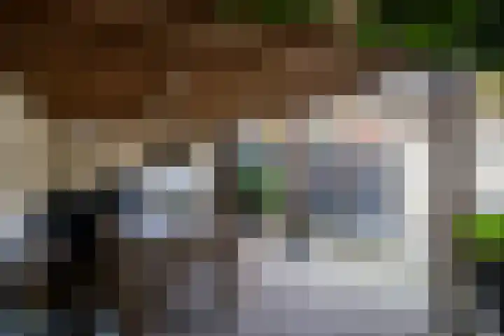 Klaproosstraat 14 Bakel thumbnail 26