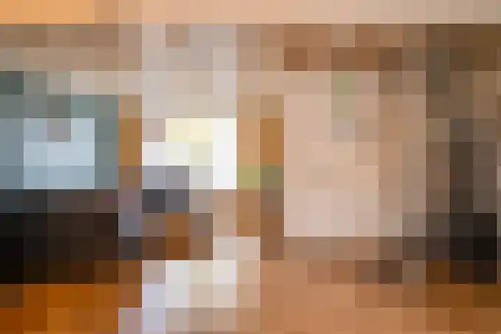 Klaproosstraat 14 Bakel thumbnail 5