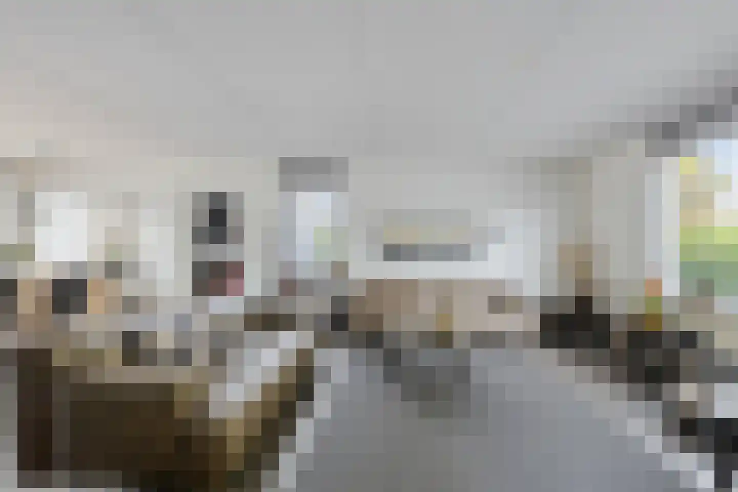 Klaproosstraat 14 Zevenbergen thumbnail 17