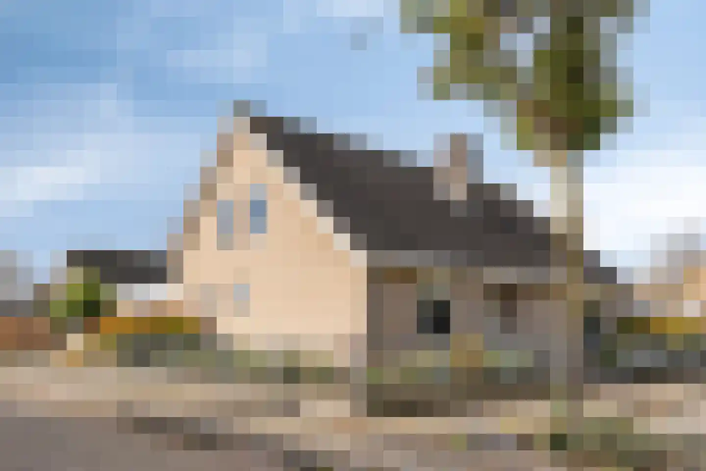 Klaproosstraat 14 Zevenbergen thumbnail 4