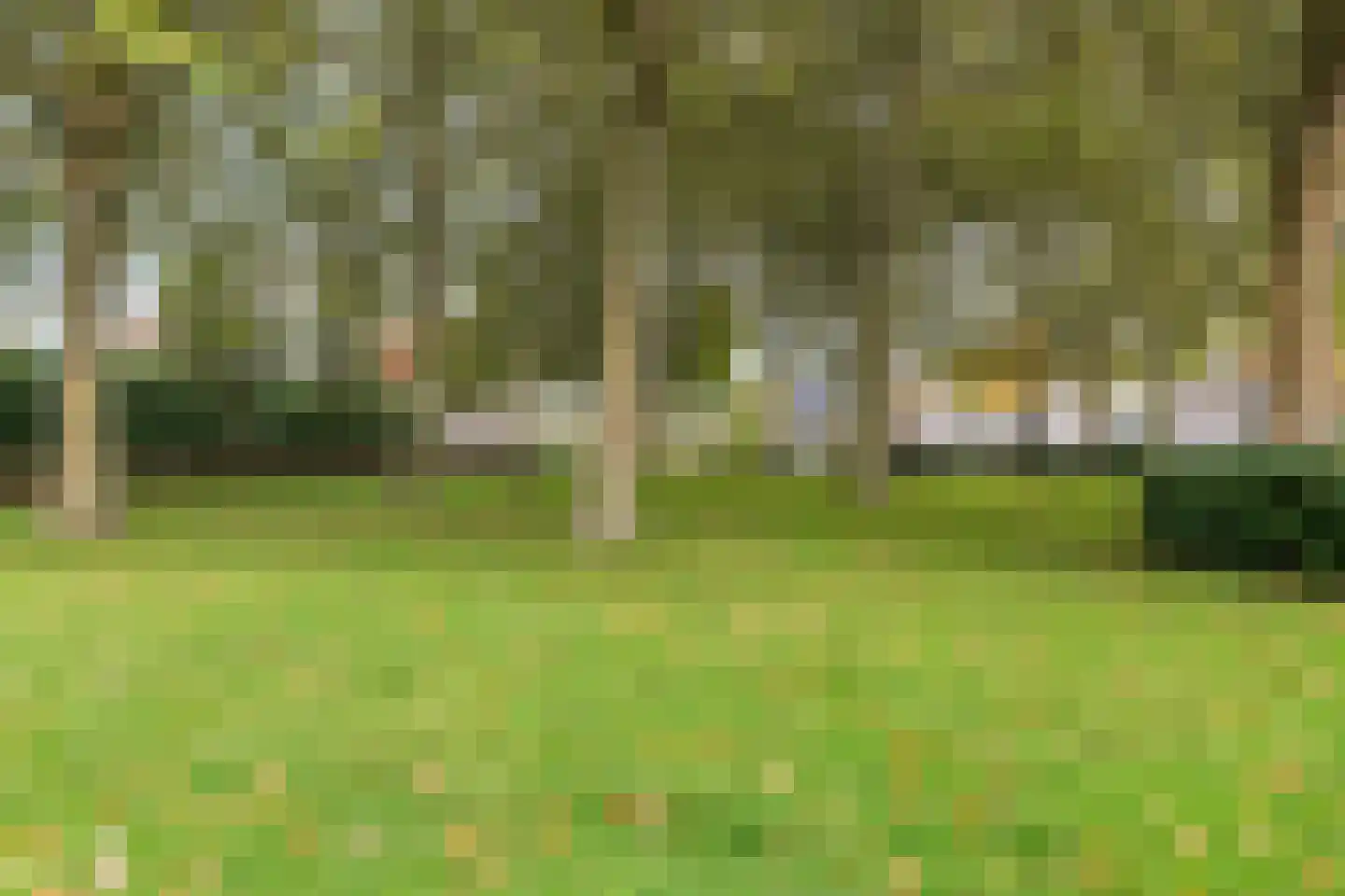 Klaproosstraat 14 Zevenbergen thumbnail 6