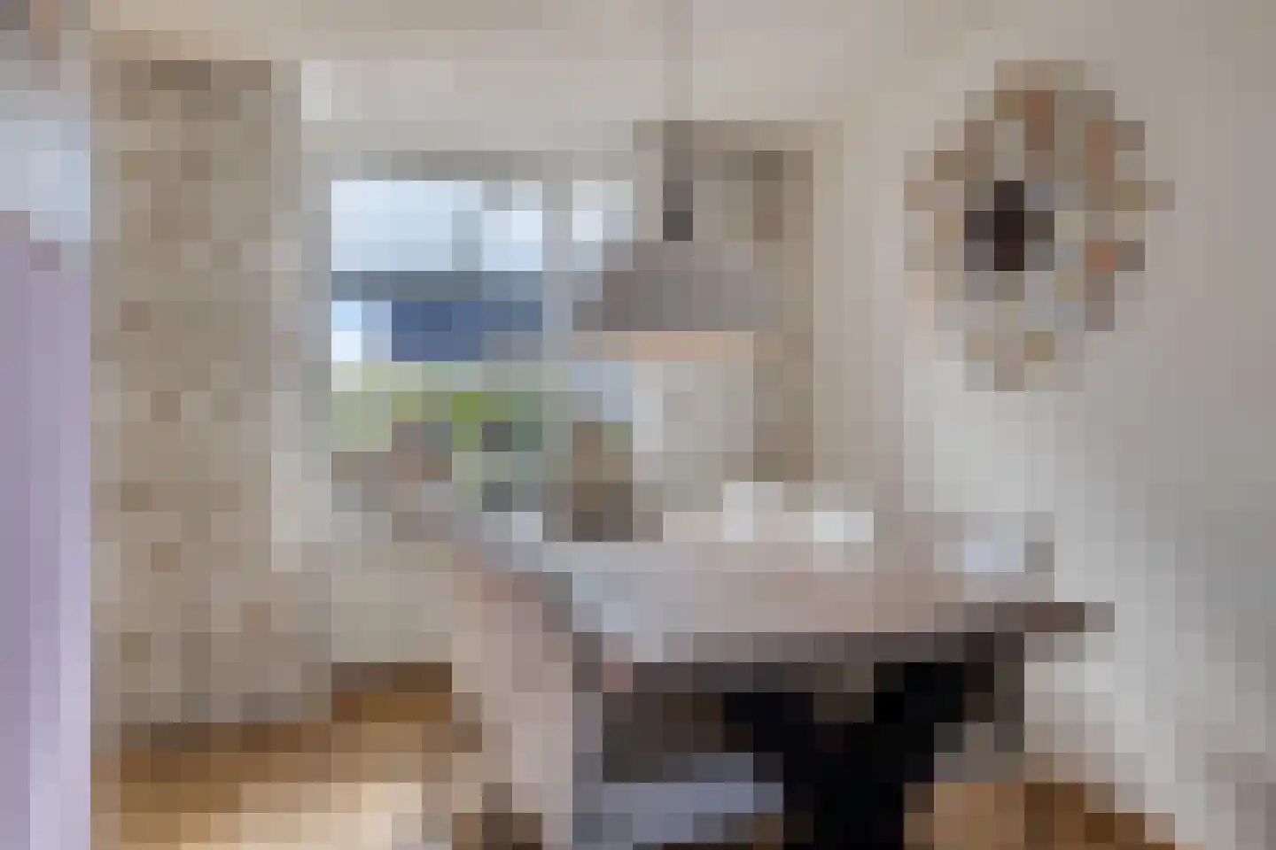 Klaproosstraat 16 Goes thumbnail 11