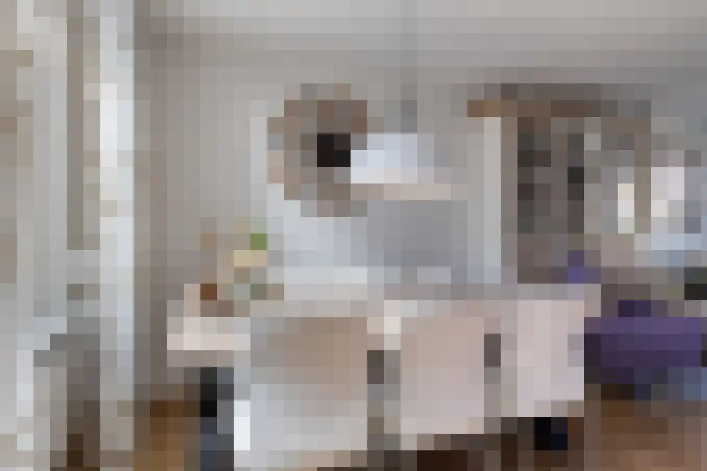 Klaproosstraat 16 Goes thumbnail 13