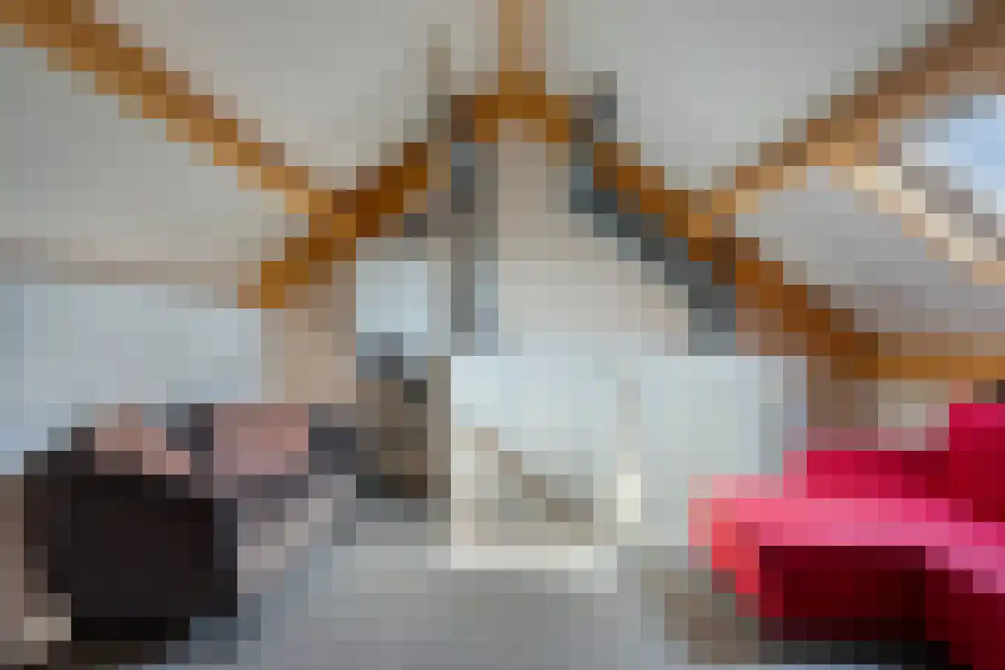 Klaproosstraat 16 Goes thumbnail 25