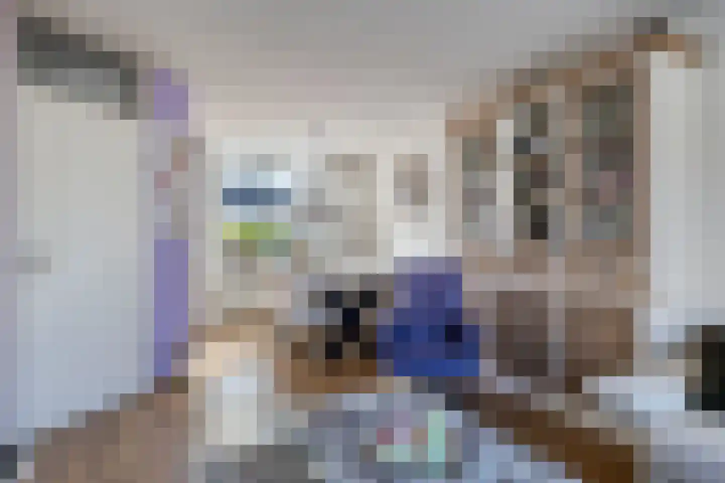 Klaproosstraat 16 Goes thumbnail 9