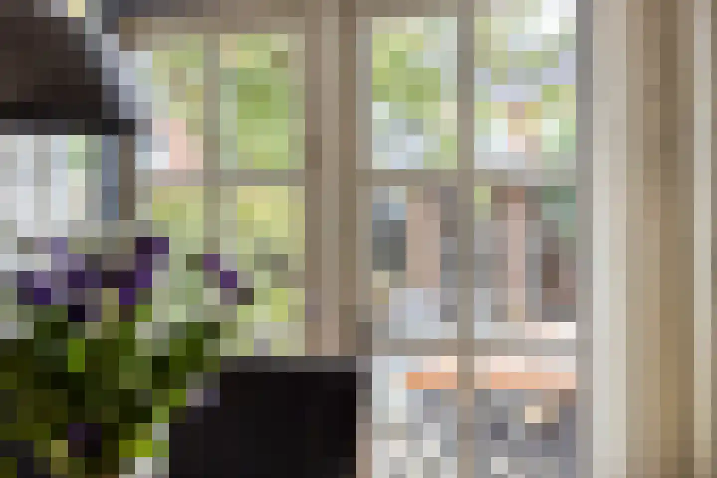 Klaproosstraat 16 Ommen thumbnail 11