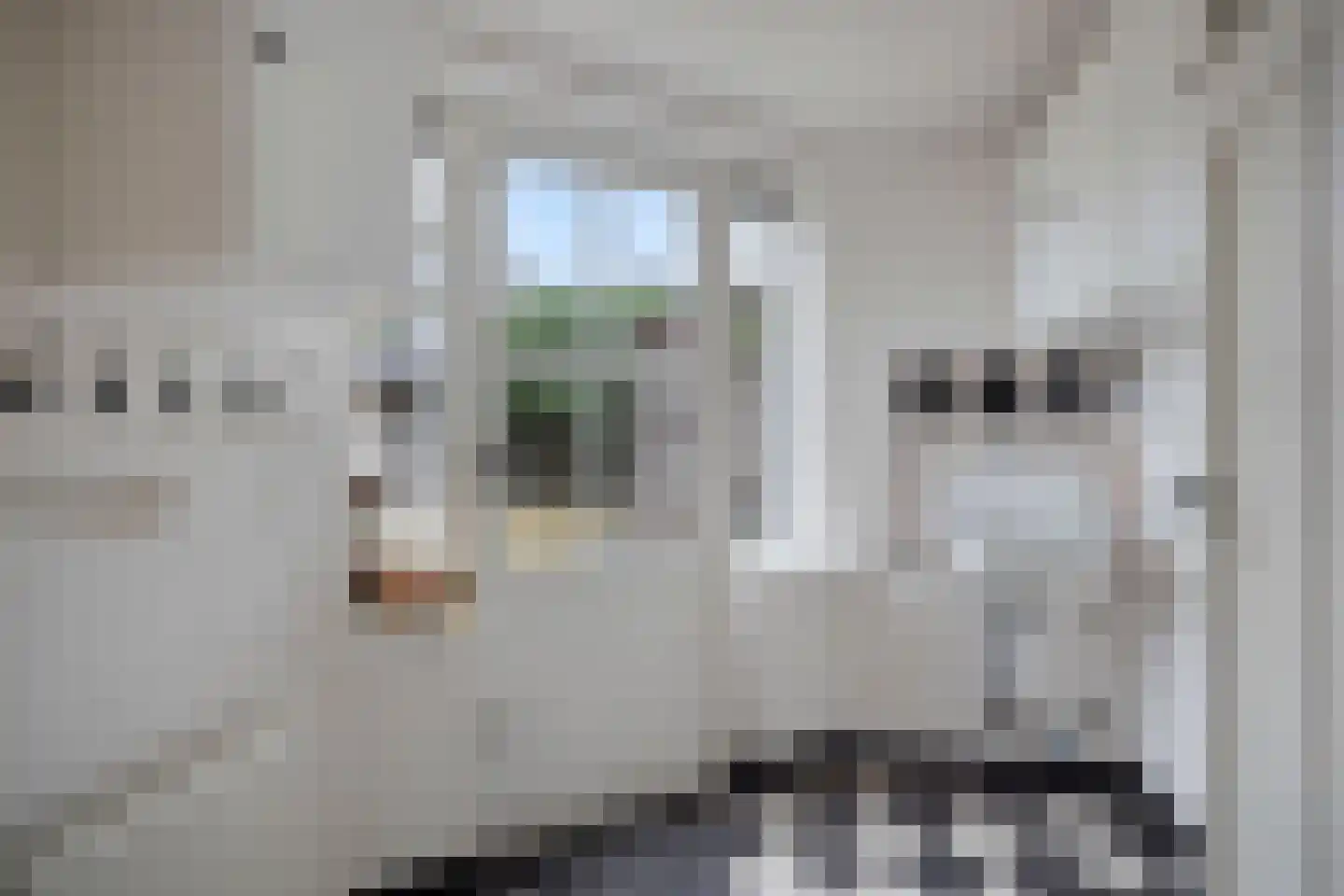 Klaproosstraat 16 Ommen thumbnail 14