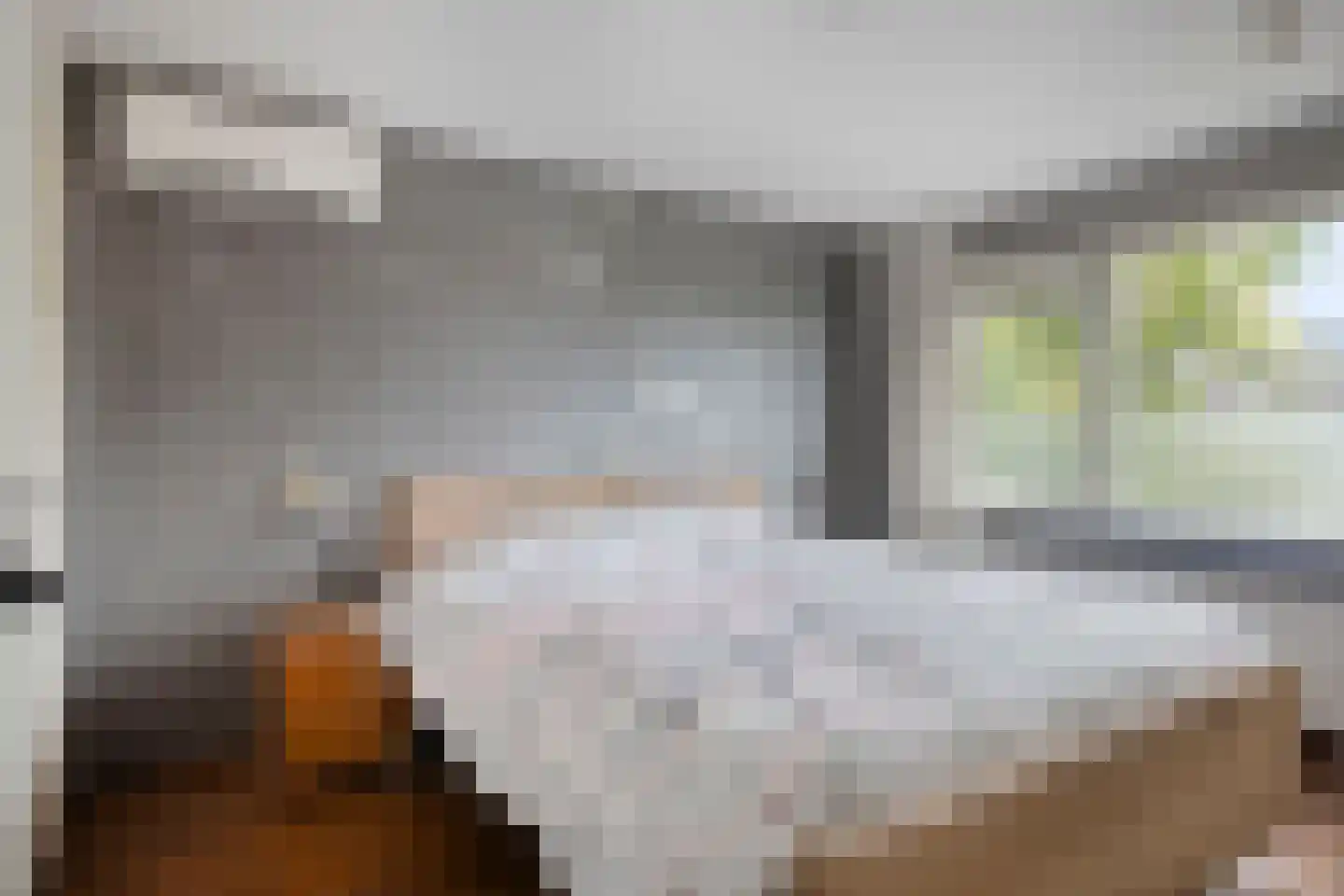Klaproosstraat 16 Ommen thumbnail 17