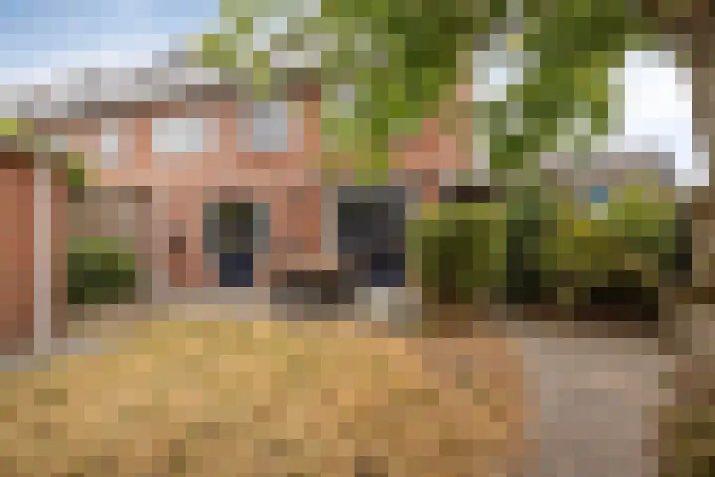 Klaproosstraat 16 Ommen thumbnail 27