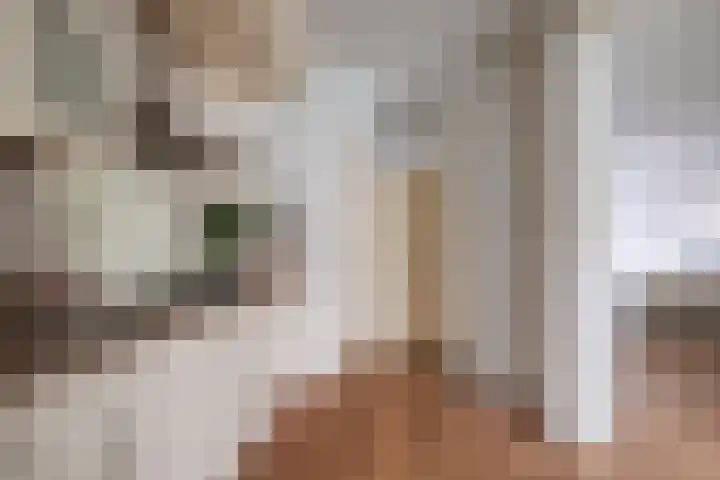 Klaproosstraat 17 Reuver thumbnail 15