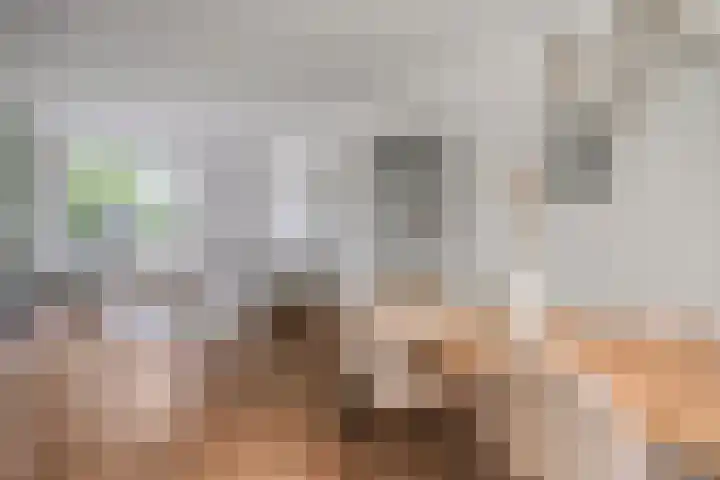 Klaproosstraat 17 Reuver thumbnail 5