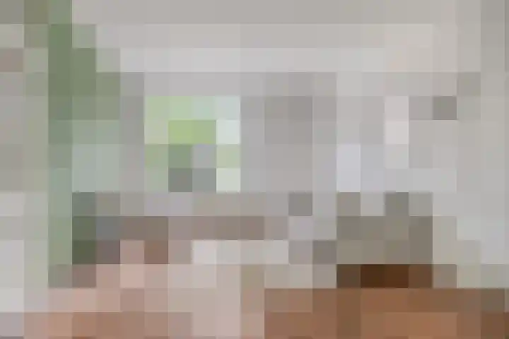 Klaproosstraat 17 Reuver thumbnail 6