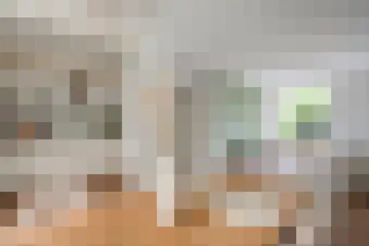 Klaproosstraat 17 Reuver thumbnail 7