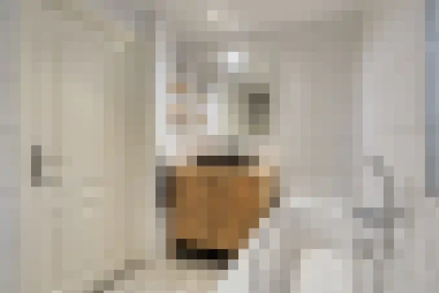 Klaproosstraat 18 Beek en Donk thumbnail 30