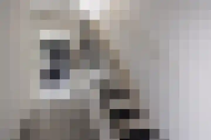 Klaproosstraat 18 Beuningen Gld thumbnail 14