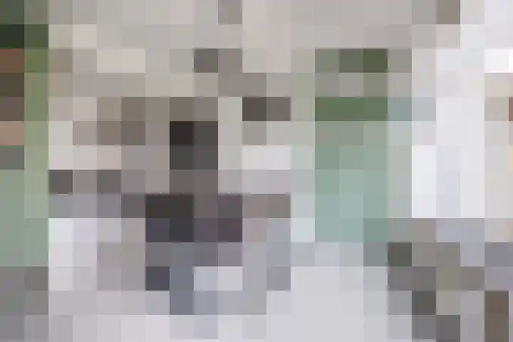 Klaproosstraat 18 Beuningen Gld thumbnail 7