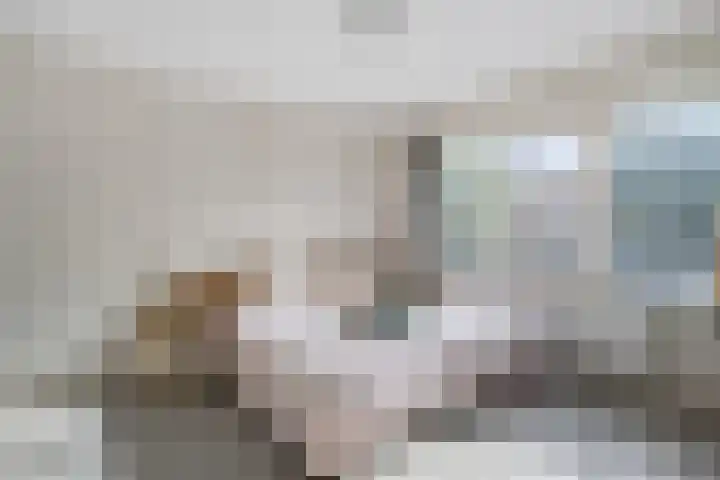 Klaproosstraat 19 Asten thumbnail 15