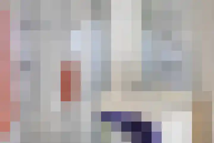 Klaproosstraat 19 Asten thumbnail 17