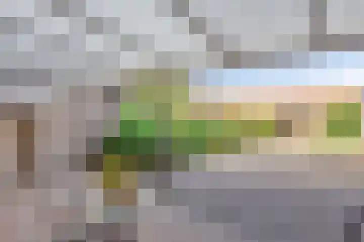 Klaproosstraat 19 Asten thumbnail 22